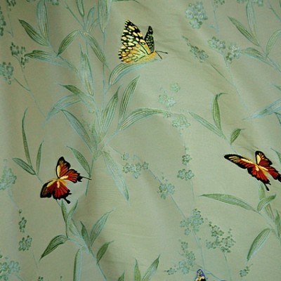 BUTTERFLY 602